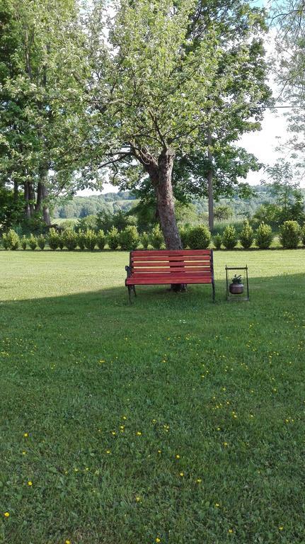 Penzion Obora Tachov  Bagian luar foto